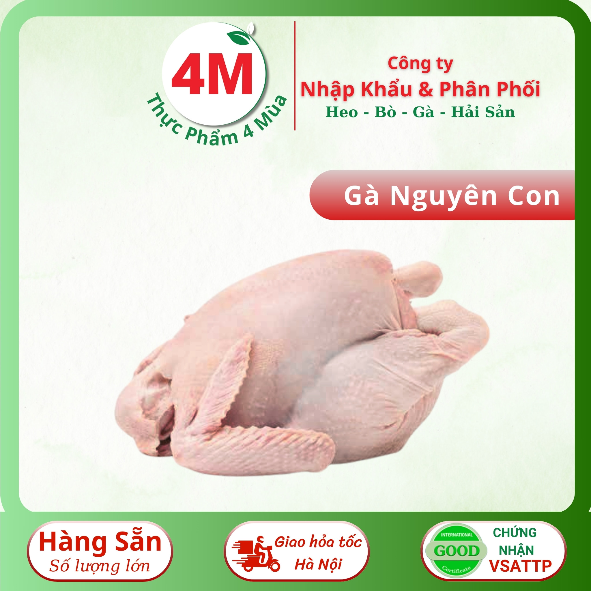 Gà Nguyên Con