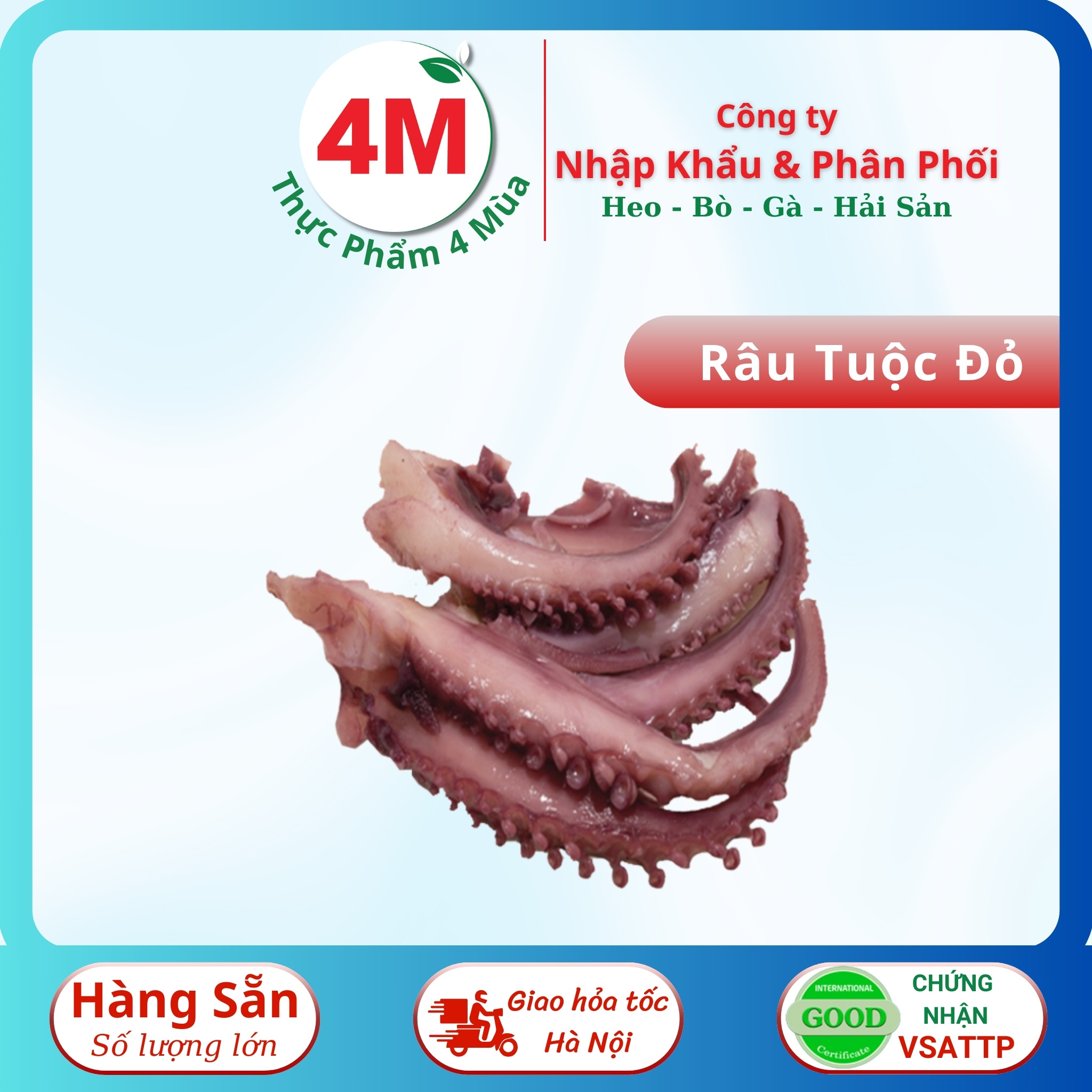 Râu Tuộc Đỏ Đại Dương