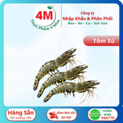 Tôm sú