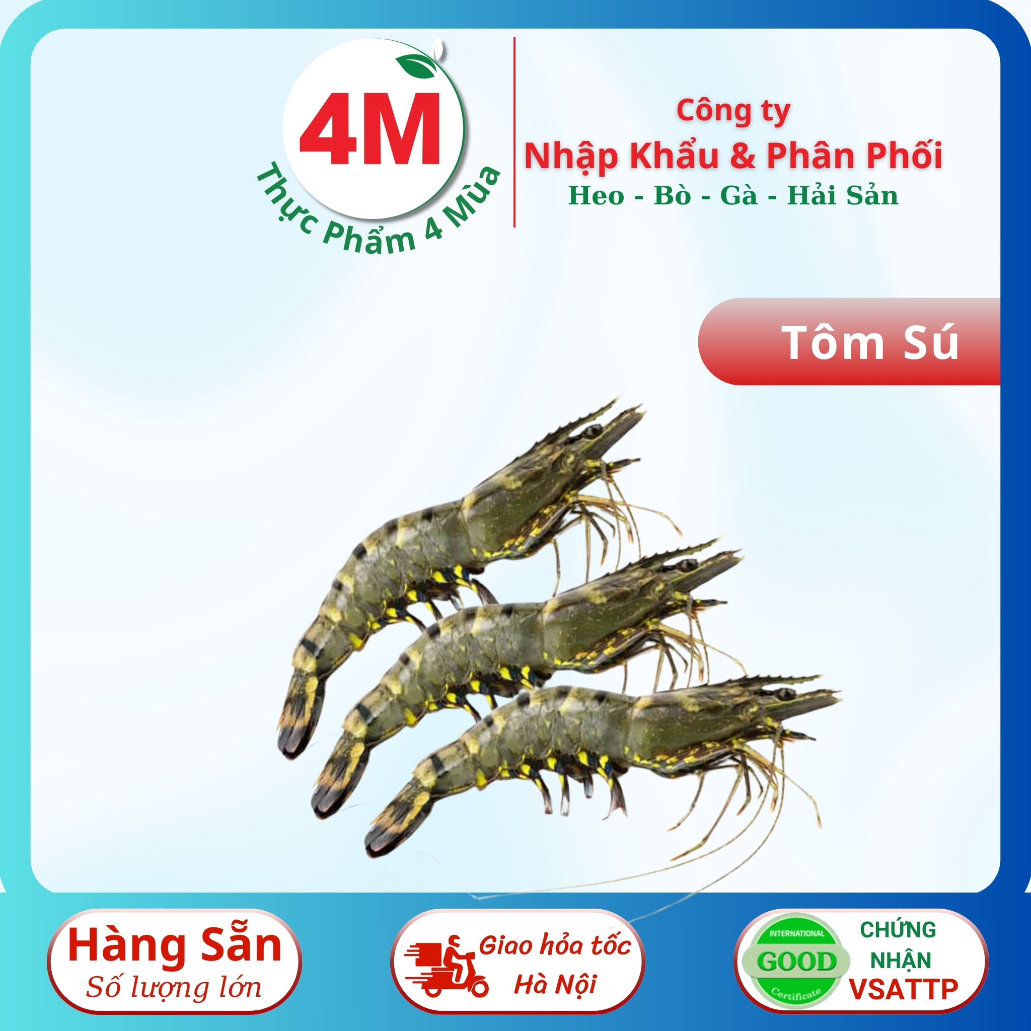 Tôm sú